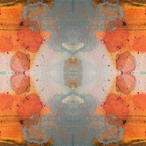 Tangerine Dream — Fabric